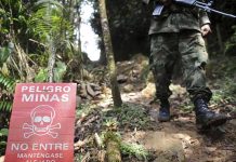 Aumentarán personal para erradicar minas en Colombia