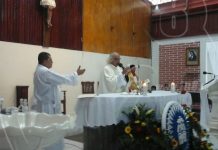 Cardenal Brenes llama a batallar contra los zancudos