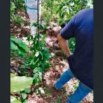 Recuperan cadáver en una fosa de Chinameca, El Salvador el salvador, chinameca, recuperacion, cadaver, fosa,