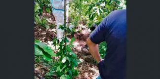 el salvador, chinameca, recuperacion, cadaver, fosa,