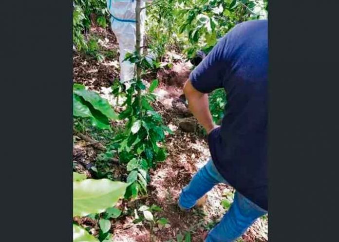 el salvador, chinameca, recuperacion, cadaver, fosa,