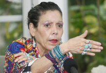 Nicaragua registra 133 casos confirmados de Zika