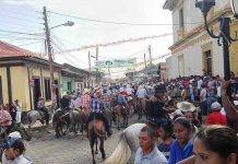 Arrancan fiestas patronales con tope de toros en Nandaime
