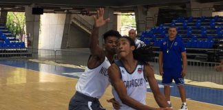 fenibal, baloncesto, ventana,