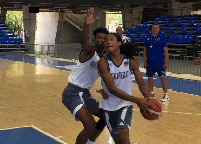 fenibal, baloncesto, ventana,