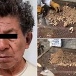 mexico, atizapan, investigadores, cadaveres, óseo, excavacion,