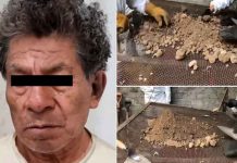 Hallan 3.700 restos óseos en la casa del ‘feminicida de Atizapán’ mexico, atizapan, investigadores, cadaveres, óseo, excavacion,