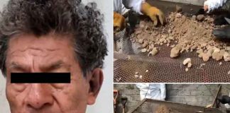 mexico, atizapan, investigadores, cadaveres, óseo, excavacion,