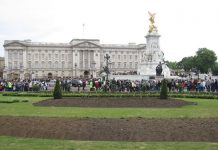 Joven es detenido tratando de irrumpir en el Palacio de Buckingham