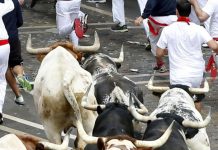 España: 4 heridos por caídas en 1er encierro de San Fermín