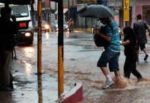 Lluvias en Paraguay favorecen reproducción del mosquito transmisor del Dengue
