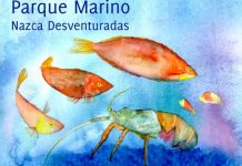 Chile tendrá el parque marino más grande de América