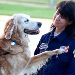 Muere última perra que ayudó en labores de rescate del 11-S