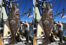 Capturan a pez gigante en Alaska