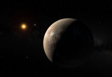 Descubren Próxima b, un planeta potencialmente habitable
