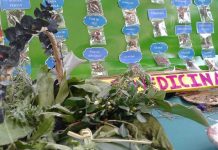 MEFCCA al rescate de la medicina natural