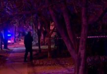 Degollan a mujer con bebé en brazos en Argentina