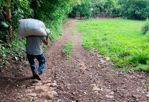 Policía mató a campesino que arreaba sus vacas en Ahuachapán, El Salvador el salvador, ahuachapan, policia, muerte, campesino, julio, vacas,