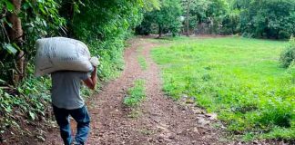 el salvador, ahuachapan, policia, muerte, campesino, julio, vacas,