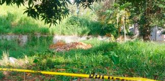 honduras, san pedro sula, reporte, desaparecido, ingeniero, autoridades,