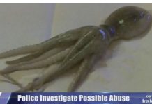 Acusan a hombre de asfixiar a bebé con un pulpo
