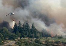 Controlan incendios en España tras quemar miles de hectáreas