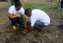 Impulsan campaña de reforestación en Estelí