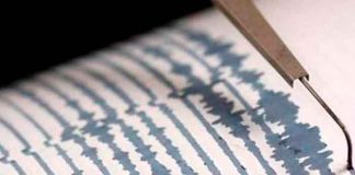 indonesia, sismo, magnitud, terremoto, islas molucas, alerta,