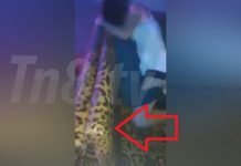 Viral un vídeo de sexo en disco supuestamente nica