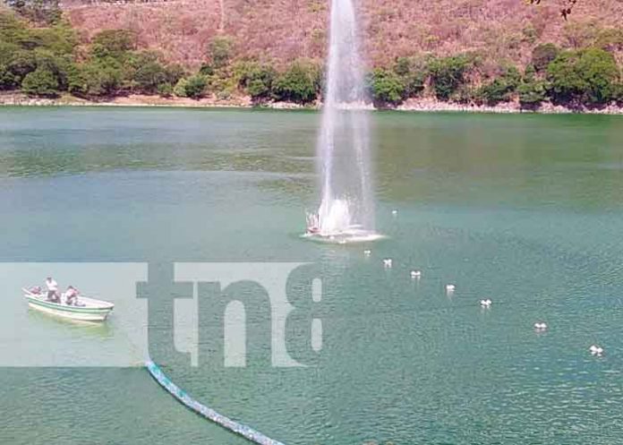 TISCAPA2 Nicaragua, tiscapa, laguna, limpieza, autoridades,