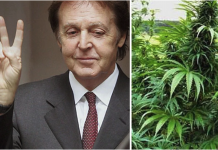 Paul McCartney: ¨Dejaré la marihuana ahora que soy abuelo¨