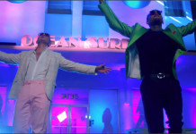 ¨Fun¨ así se llama el nuevo video de Pitbull y Chris Brown