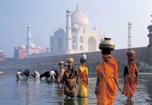 Excremento de insectos amenaza mármoles del Taj Mahal