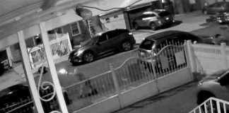 estados unidos, nueva york, calle del bronx, tiroteo, videos,