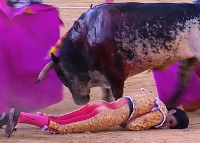 Torero1