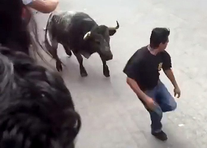 Toro
