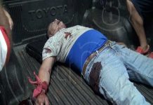 Caponero perdió la vida al estrellarse contra un camión