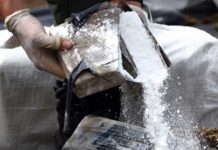 Contabilizan 9 toneladas de coca incautadas en Guatemala