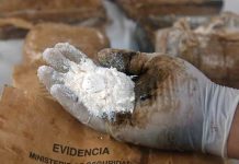 Confiscan más de 300 kilos de cocaína en Panamá