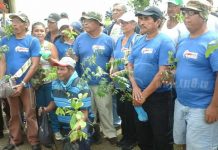 Masaya se suma a Cruzada Nacional de Reforestación