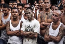 El Salvador: ¿Para qué la mara preparaba «grupos élites»?