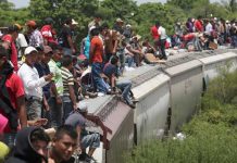 Menor hondureño en condición crítica al caer de la «Bestia»