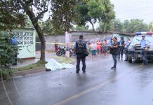 Motociclista se estrella contra un árbol y pierde la vida