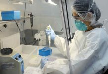 Honduras: Casos de dengue, zika y chikungunya en ascenso