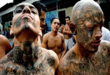 Honduras: 80% de las masacres son órdenes desde la cárcel