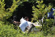 Encuentran tres cuerpos putrefactos en El Salvador