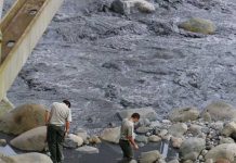 Costa Rica: Miles de peces muertos tras caída de ceniza