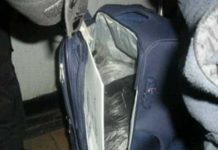 Matan a jamaiquino y lo meten en maleta en Costa Rica