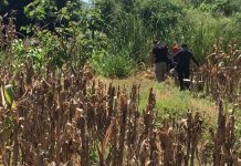 Hallan cuerpo con el rostro desfigurado en El Salvador