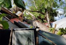 Costa Rica: Tornado deja 21 casas destruidas